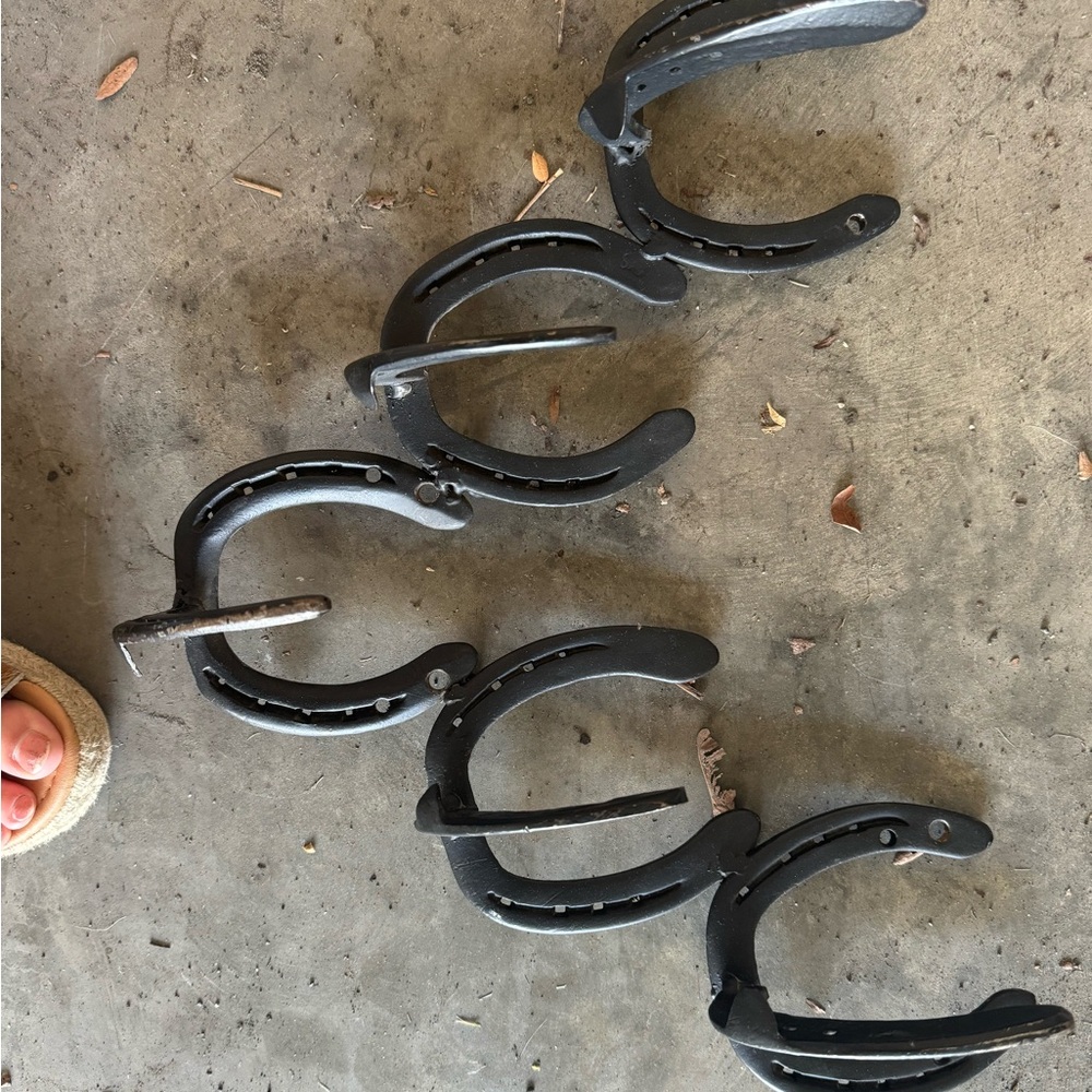 Horseshoe hooks